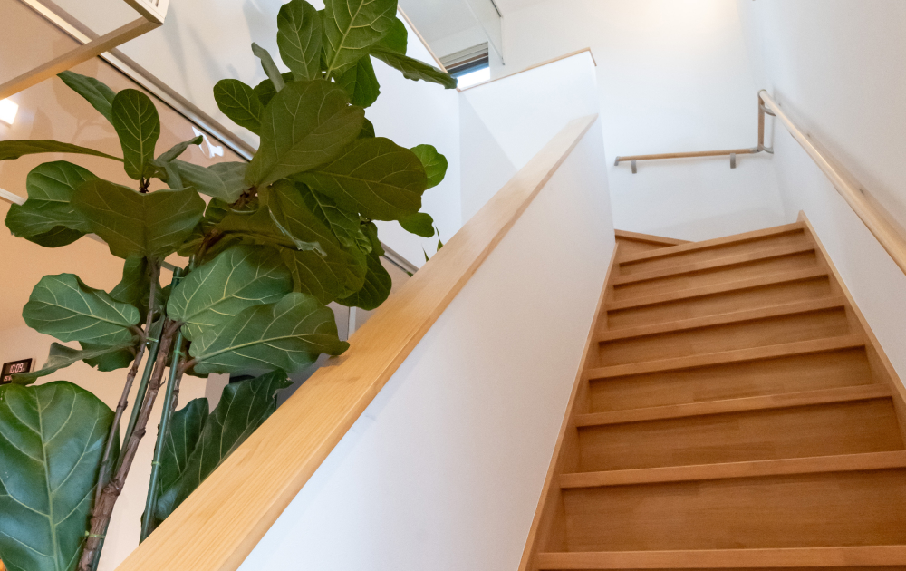 ヤマセハセガワ山形